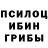 Галлюциногенные грибы Psilocybine cubensis Steve Siscoe