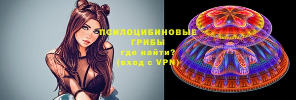 ПСИЛОЦИБИНОВЫЕ ГРИБЫ Алексеевка