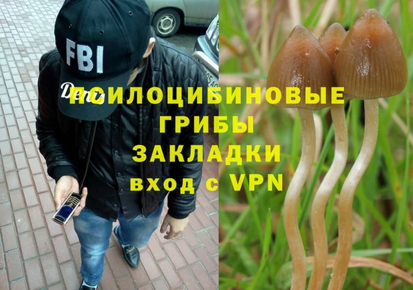 ПСИЛОЦИБИНОВЫЕ ГРИБЫ Алексеевка