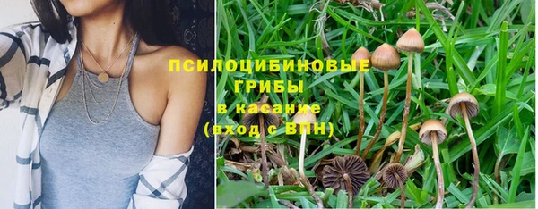 ПСИЛОЦИБИНОВЫЕ ГРИБЫ Алексеевка
