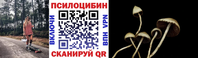 Галлюциногенные грибы Cubensis  блэк спрут вход  маркетплейс как зайти  Пучеж 